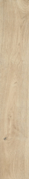 Ragno Grove Albero Rt RA4V